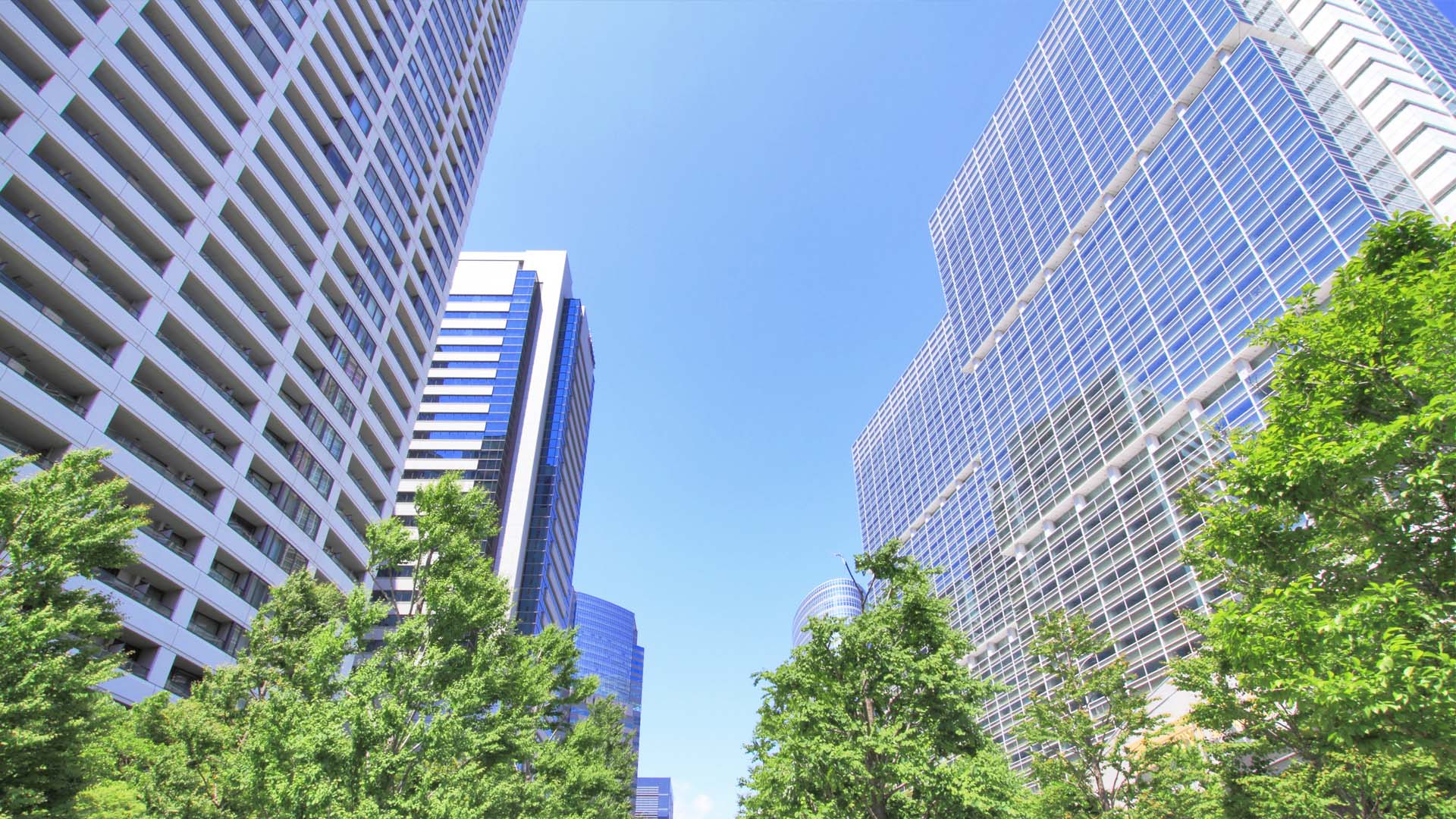 slider3
